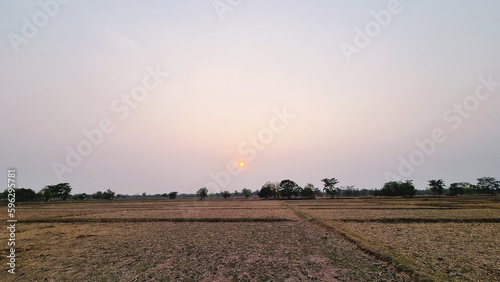 The rice has been harvested and the field is ready for autumn planting. seasonal crop plants rice field season ready harvest nature landscape sky sunset winter tree art background beauty