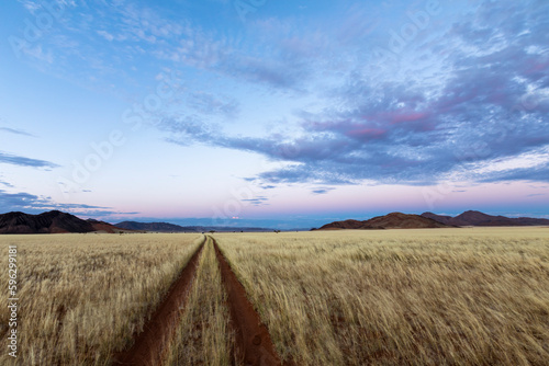 Tracks through yellow dry grass on the plain