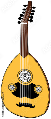 Eleven string acoustic guitar