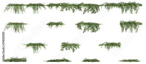 Fotografiet Cotoneaster dammeri 3D rendering, creeper plants, climber plants with transparen