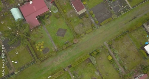 aerial top down of allotment gardening in residential area of the city town  photo