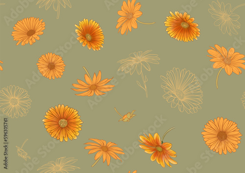 Calendula medicinal herbs and flowers seamless pattern, background. Vector illustration.