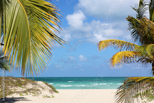 Picturesque view to tropical beach with white sand and coconut palm trees. Tourist resort on Caribbean island © Oleg