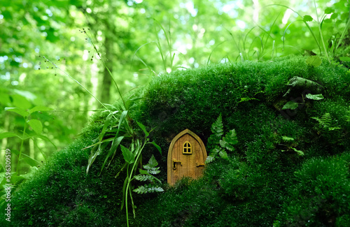 Little fairy wooden door on mossy natural forest background. Fairy tale tree house in green woodland, pixie and elf home. beautiful mystery magic atmosphere. wild fantasy fable aesthetic
