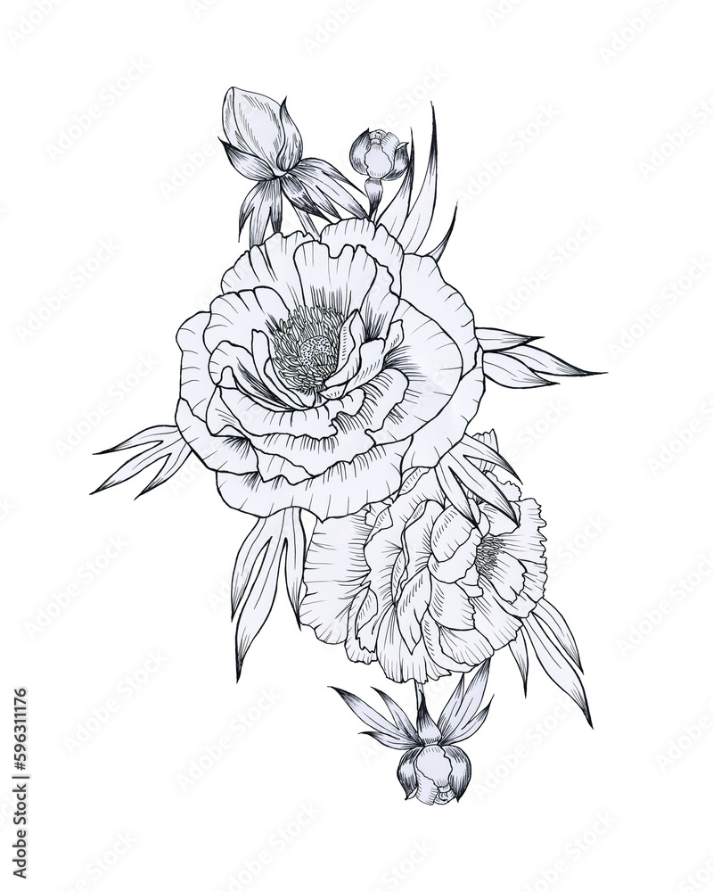 Black and white peonies bouquet graphic hand drawn on isolated background. Arrangement of flowers with leaves in sketch style for coloring and tattoo. Outline composition for postcards. Black and white peonies bouquet graphic hand drawn on isolated background. Arrangement of flowers with leaves in sketch style for coloring and tattoo. Outline composition for postcards.