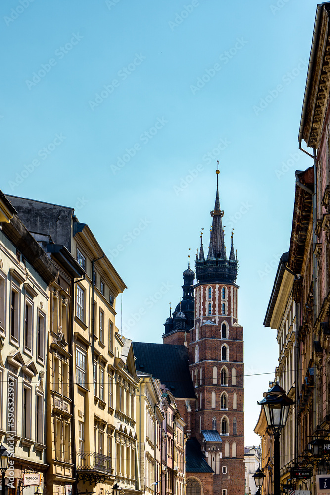 Fototapeta premium Stare miasto Kraków