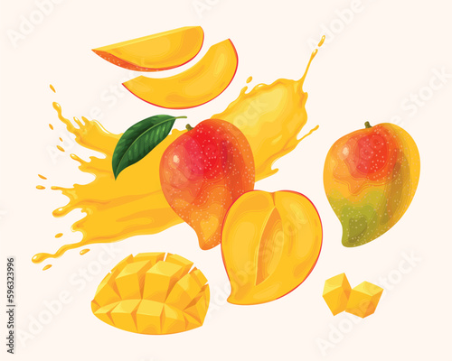 Vector set of ripe mango and its slices