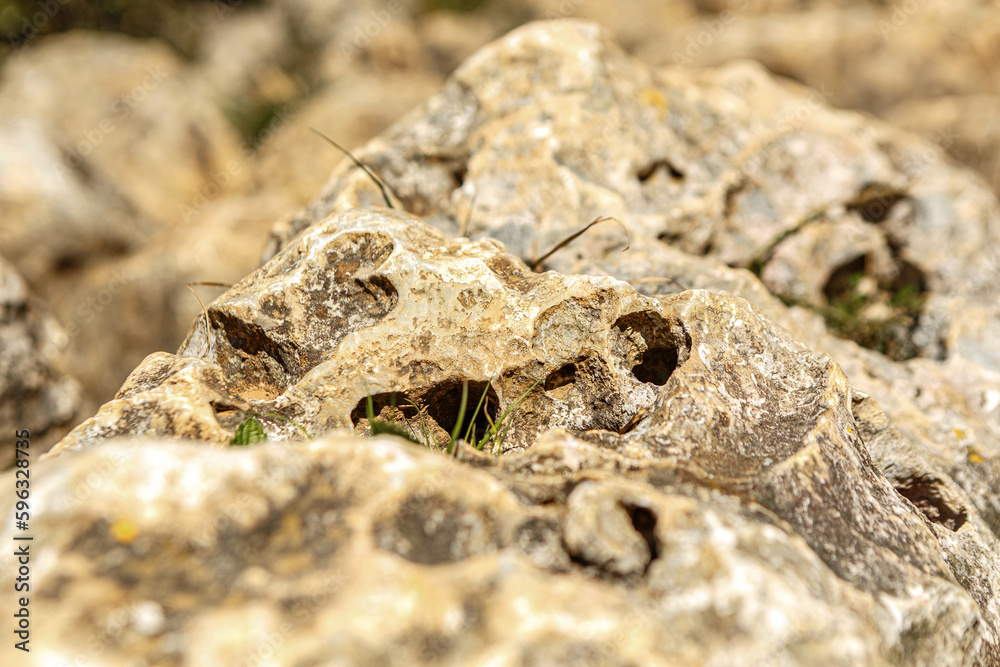 Macro close-up of rinsed rocks at the coast of the adriatic sea in croatia Macro close-up of rinsed rocks at the coast of the adriatic sea in croatia