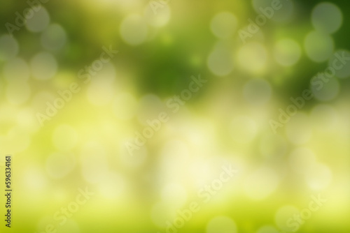 Abstract green background. Summer day bokeh backdrop