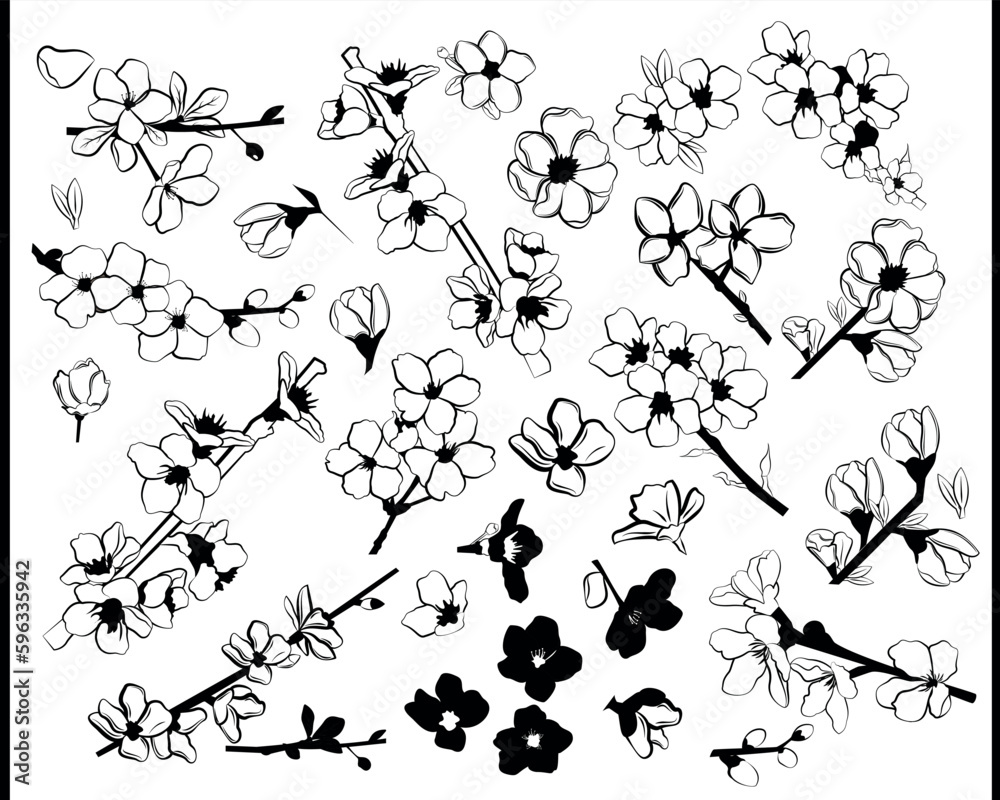 Vector set of sakura flowers and twigs in black and white. Line art. Vector set of sakura flowers and twigs in black and white. Line art.