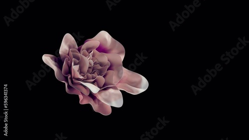 Flower Textile Art Alpha 4k Slow-mo .  Beautiful slow motion video of a rose flower . Folds of fabric in the form of a rose flower in alpha channel.
