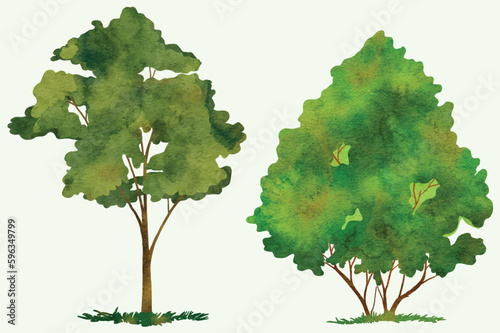 tree watercolor 