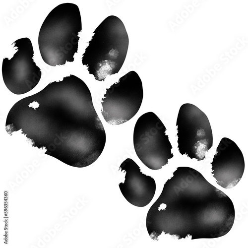 Dog Paw Print