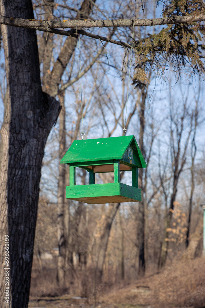 birdhouse in the forest