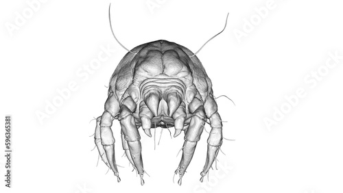 Fotografie 3d illustration of a dust mite