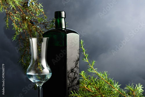 Obraz na plátně Juniper tincture or gin and an antique bottle of dark green glass
