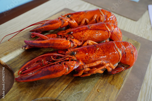 Boston Lobsters