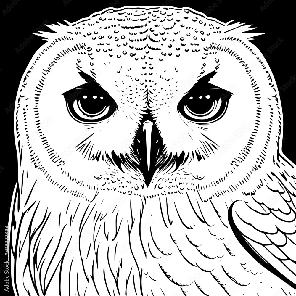 owl on a branch owl on a branch