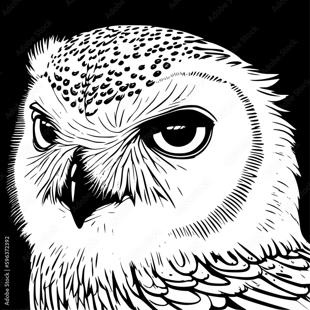 Obraz premium owl on a branch