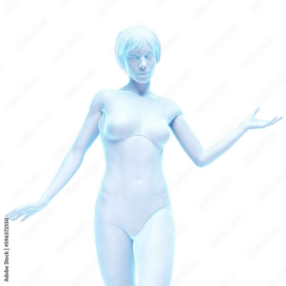 3d medical illustration of the female body 3d medical illustration of the female body