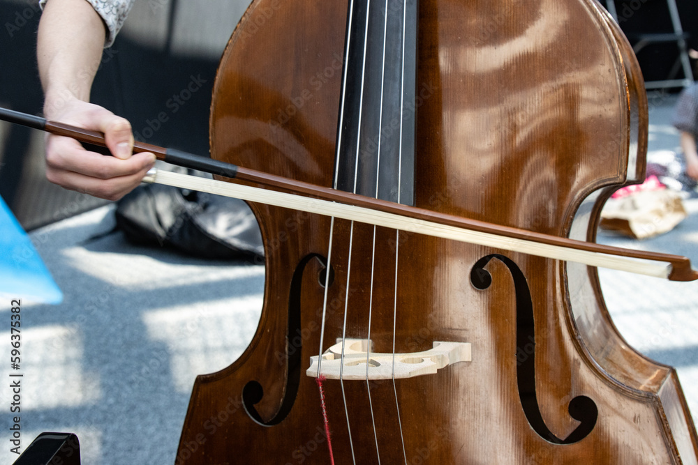 A musician playing the contrabass A musician playing the contrabass