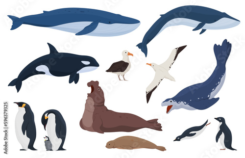 Animals from Antarctica cartoon style. Terrestrial and underwater animals. Predators and birds of cold regions. Vector illustration