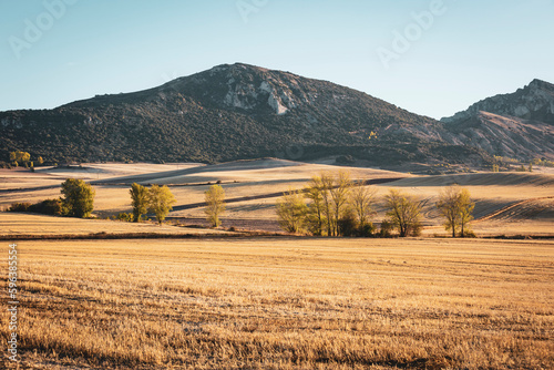 agricultural harvested hay fields next to Cascajares de Bureba, La Bureba, province of Burgos, Castile and Leon, Spain photo