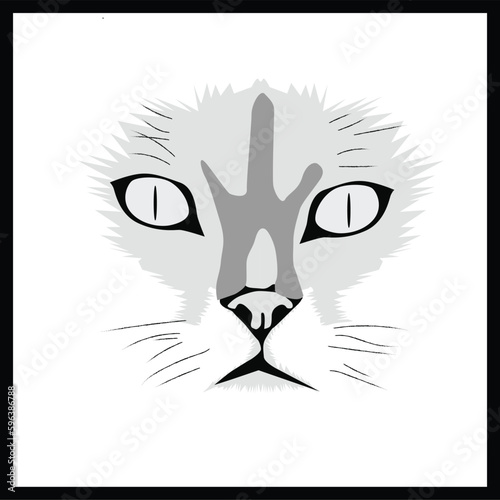 illustration of cate face drawing