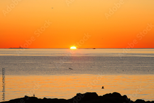 Schoodic Point Maine Sunrise with Seaguls photo