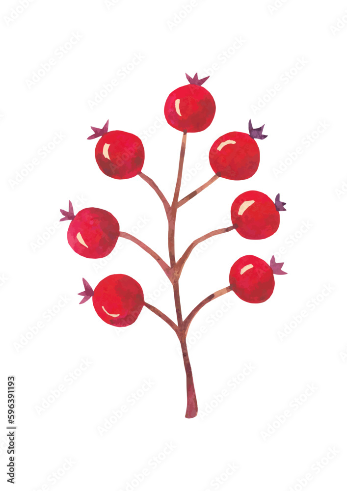 Watercolor red autumn berries branch. Hand drawn. Watercolor red autumn berries branch. Hand drawn.