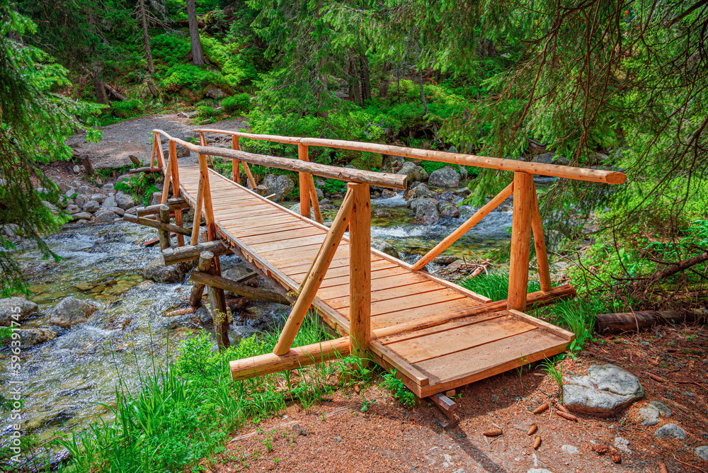 Wooden bridge over a mountain river in the forest. Tatras, Slovakia. Wooden bridge over a mountain river in the forest. Tatras, Slovakia.
