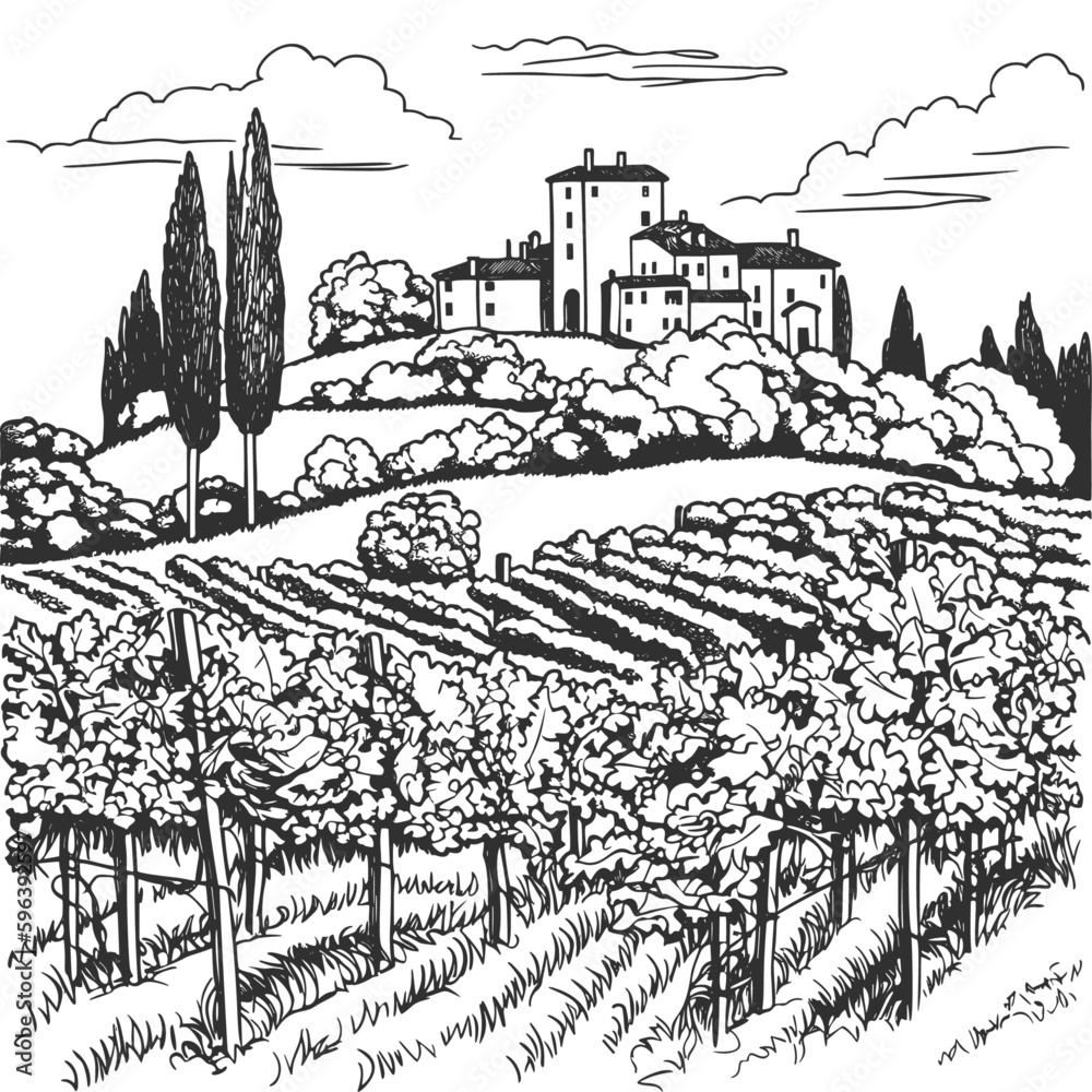 Vineyard in Tuscany, Italy. Vector hand-drawn illustration.