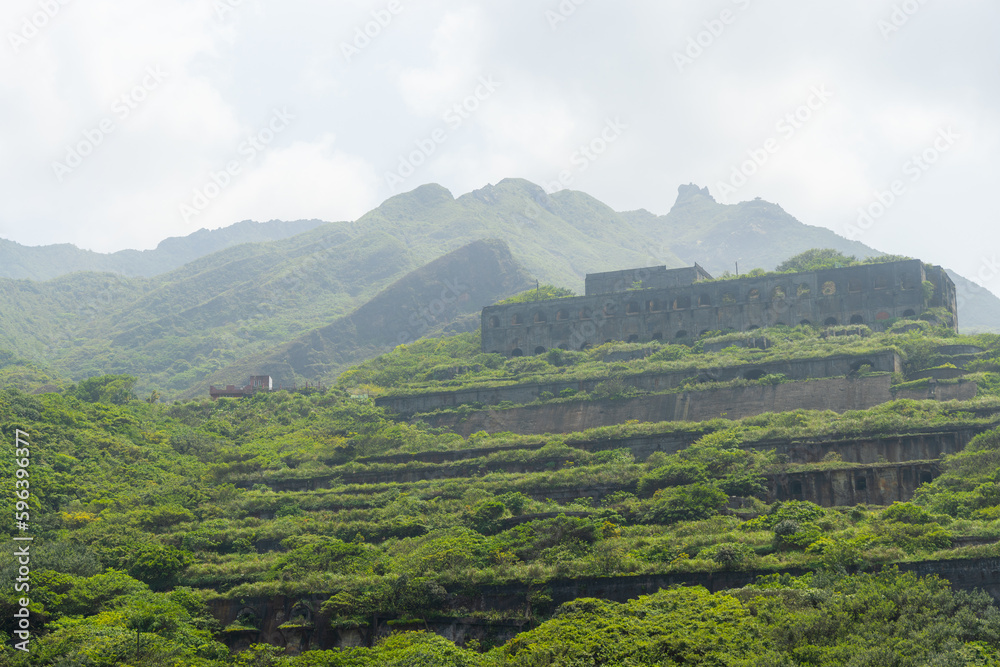 Forest mountain with foggy cloud