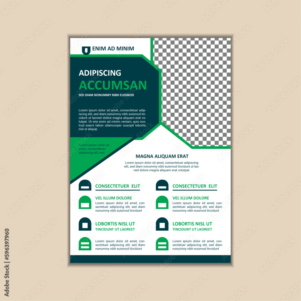 Business Flyer design template Business Flyer design template