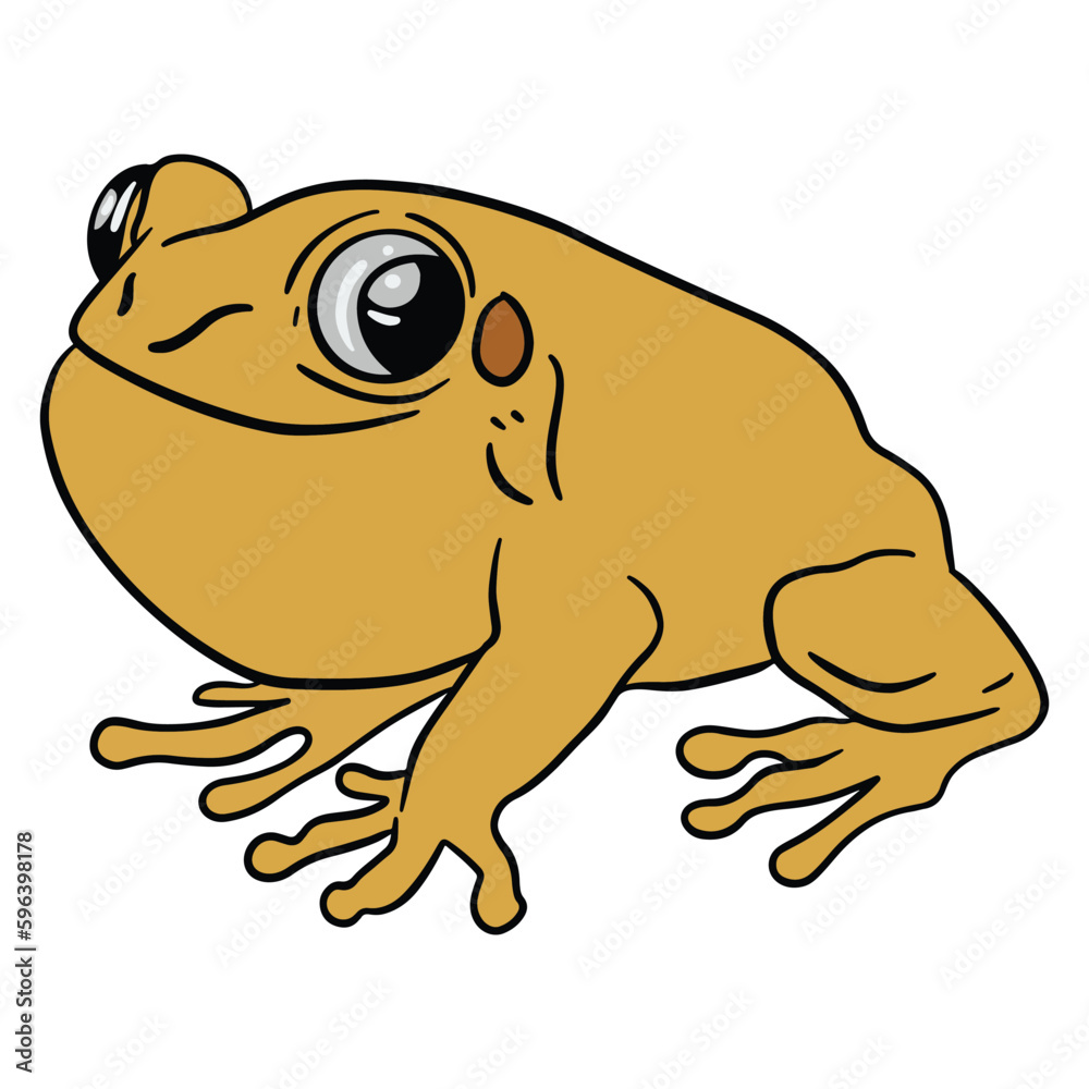 Fototapeta premium Cute yellow frog sitting ,good for graphic design resources, posters, banners, templates, prints, coloring books and more.
