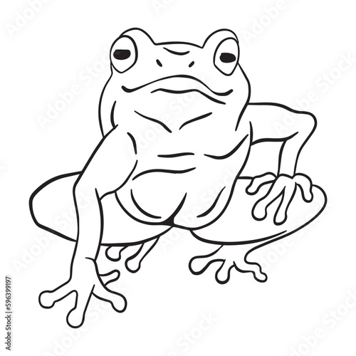 Frog outline art  good for graphic design resources  posters  banners  templates  prints  coloring books and more.