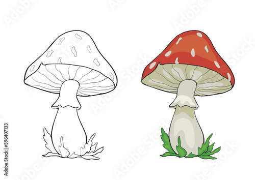 Coloring page with cartoon outline mushroom. Children education paint colouring template for book. Vector activity drawing worksheet with cute fly agaric.