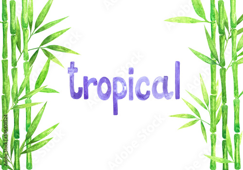 Hand drawn watercolor bamboo cane green lush foliage tropical leaves on both sides background with handwritten word "tropical".Isolated on white, web design element for cards, invitations.