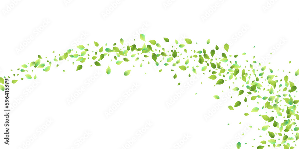 Leaves Green Falling Flying Foliage Leaf Tea Mint Leaves Green Falling Flying Foliage Leaf Tea Mint
