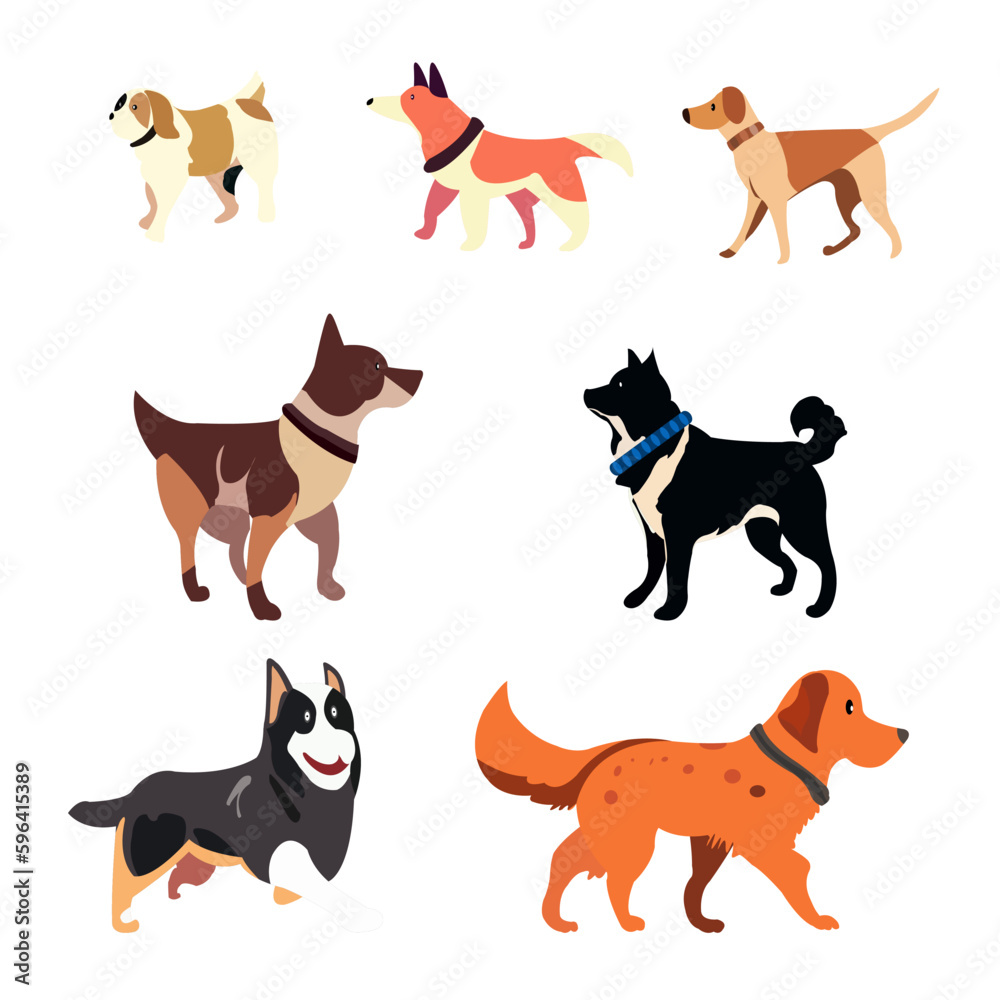 Several dogs vector with white background