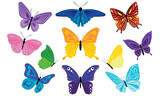 A set of bright and beautiful butterflies with patterns on the wings