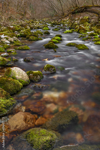 Bohinj Bistrica river with flow in north fresh Slovenia in nice forest