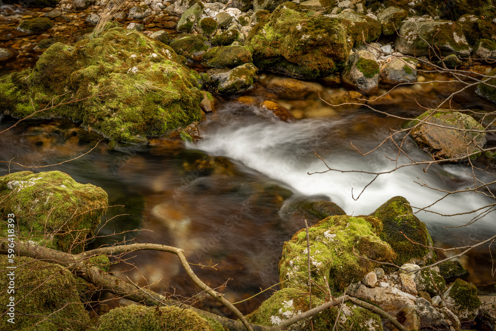 Bohinj Bistrica river with flow in north fresh Slovenia in nice forest Bohinj Bistrica river with flow in north fresh Slovenia in nice forest