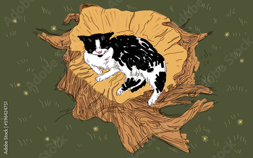 Cat is resting on the stump
