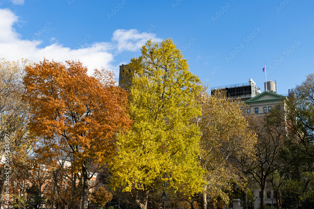 Colorful Trees during Autumn at Washington Square Park in Greenwich Village of New York City