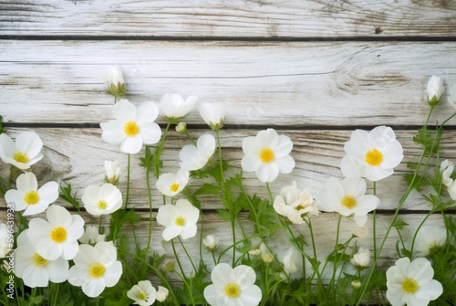 White wild flowers. Generative ai © Irina Bort