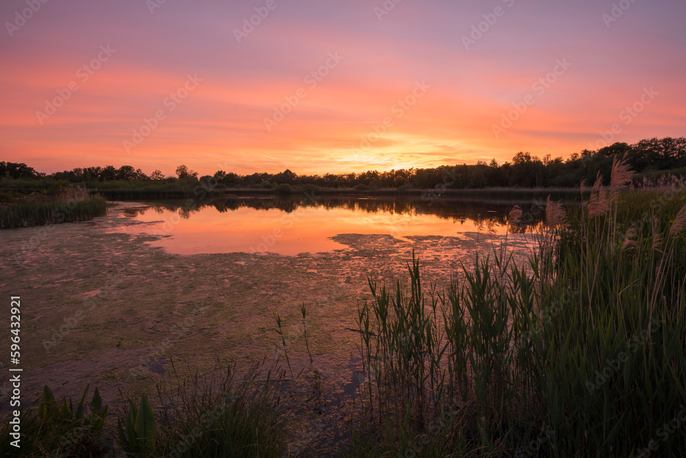 Evening view of a pond with reeds during sunset and an amazing colored orange sky with yellow, orange and purple colors. Evening view of a pond with reeds during sunset and an amazing colored orange sky with yellow, orange and purple colors.