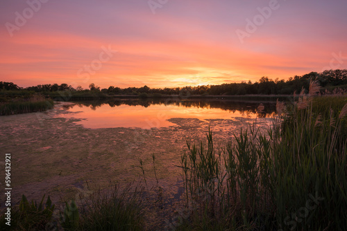 Evening view of a pond with reeds during sunset and an amazing colored orange sky with yellow, orange and purple colors.
