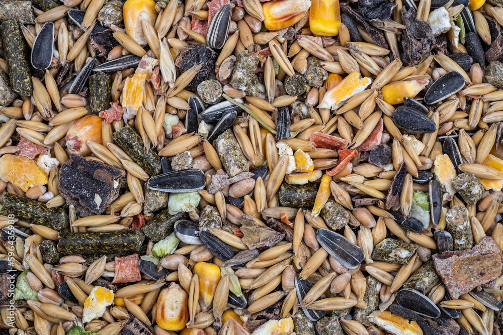 Grain mixture of cereals of wheat, oats, corn and sunflower grains, intended for feeding animals Grain mixture of cereals of wheat, oats, corn and sunflower grains, intended for feeding animals