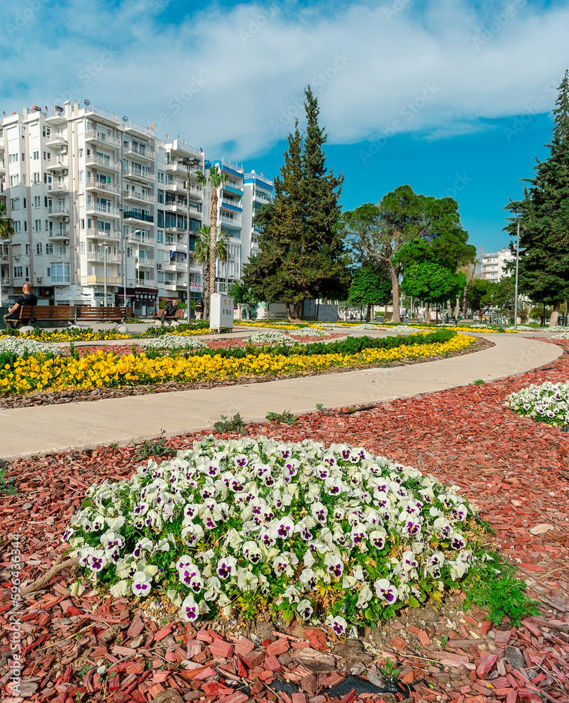 Square in Antalya with flower beds. Pansy flowers in a flower bed in a public garden in the Turkish city of Antalya.